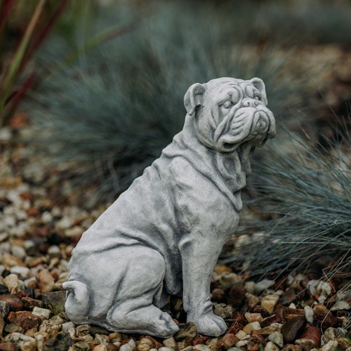 Englische bulldogge hund - englische,