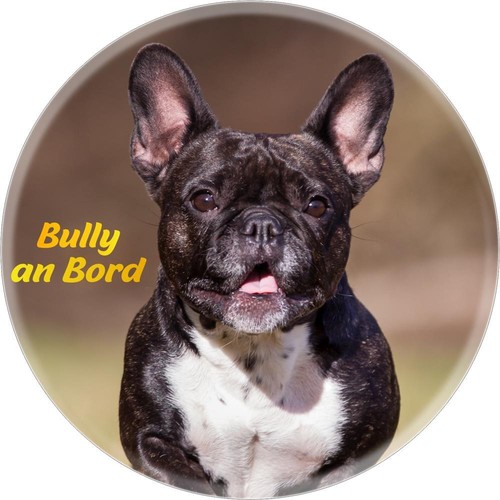 Bully bord autoaufkleber - an,